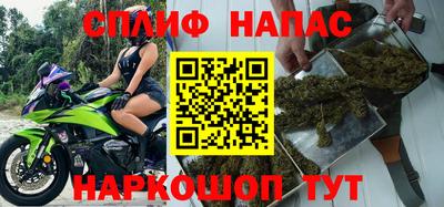шишки Усть-Джегута