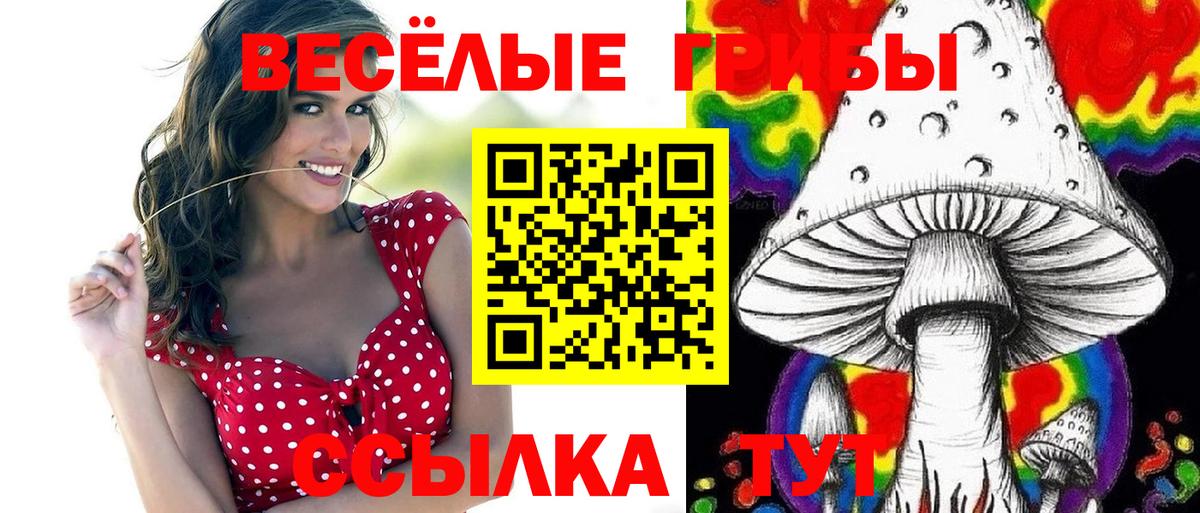 Псилоцибиновые грибы мухоморы  Вход с VPN  Котлас  Псилоцибиновые грибы мухоморы 